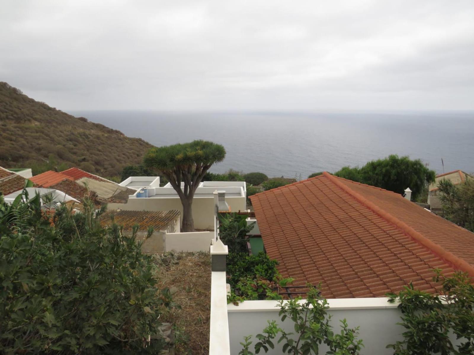 La Cabala Del Draguillo * Santa Cruz de Tenerife